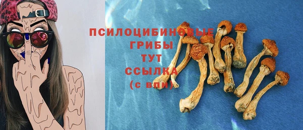 круглые Абаза
