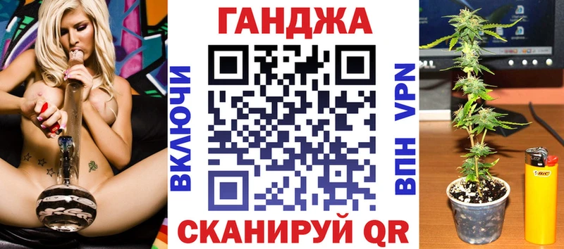 Бошки Шишки план  Ладушкин 